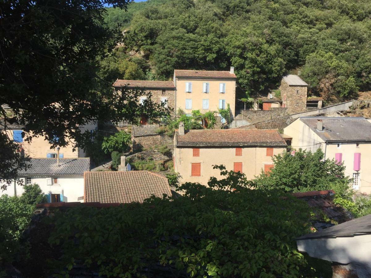 Les Volets Verts Miraval-Cabardes Exterior photo